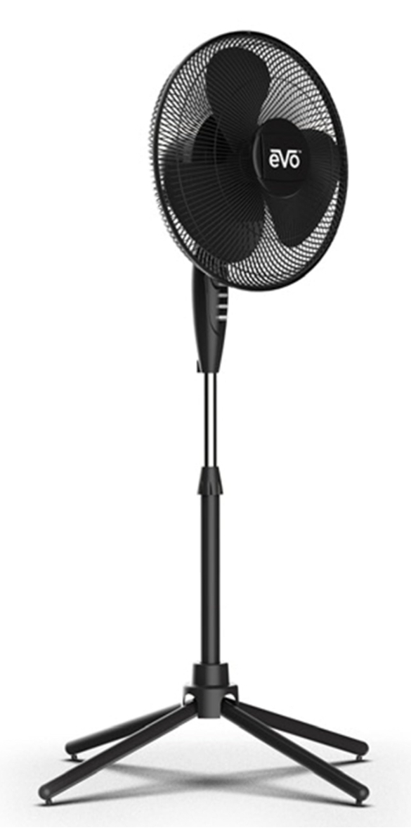Black fan
