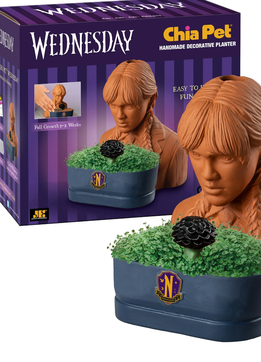 Chia Pet Wednesday (Wednesday) Handmade Decorative Planter (1 count)