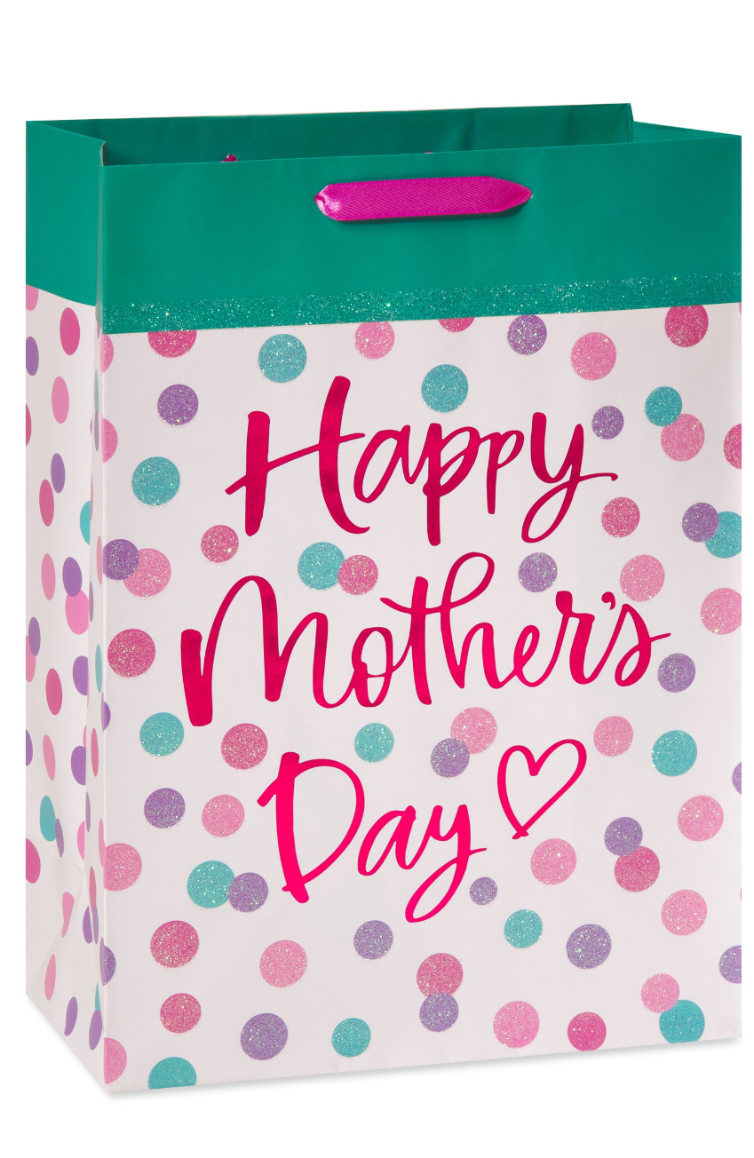 American Greetings Plastic Gift Bag for Christmas All Holidays,