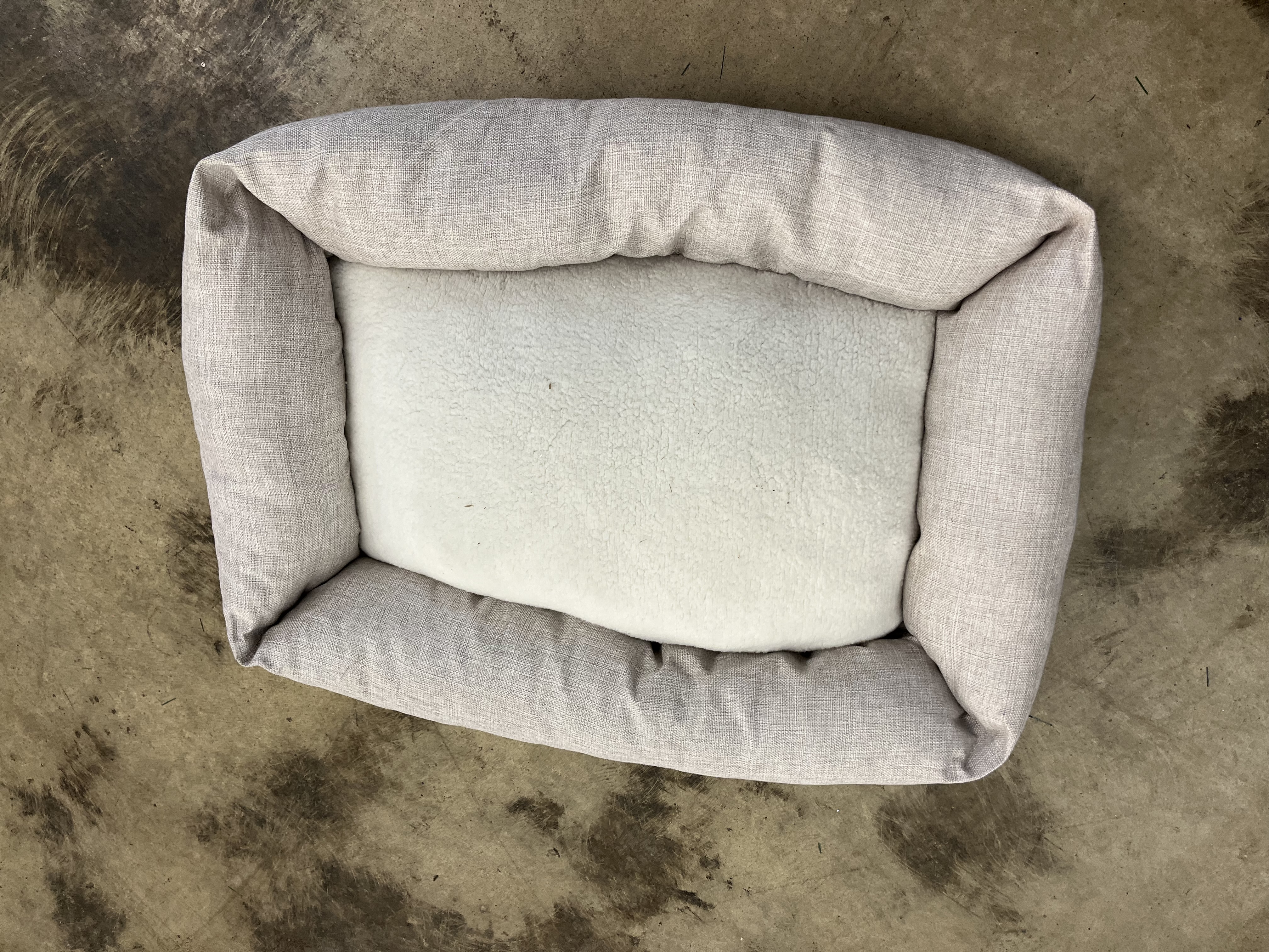 Neutral 4-Sided Bolster Dog Bed - Boots & Barkley™ - Cream