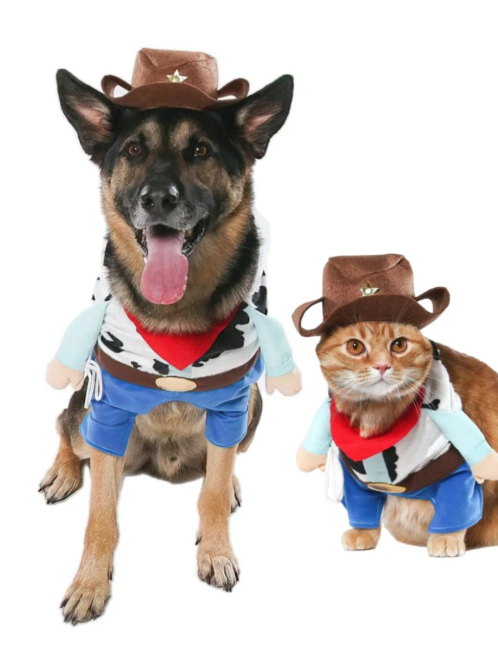 Vibrant Life Halloween Dog Costume and Cat Costume: Cowboy,