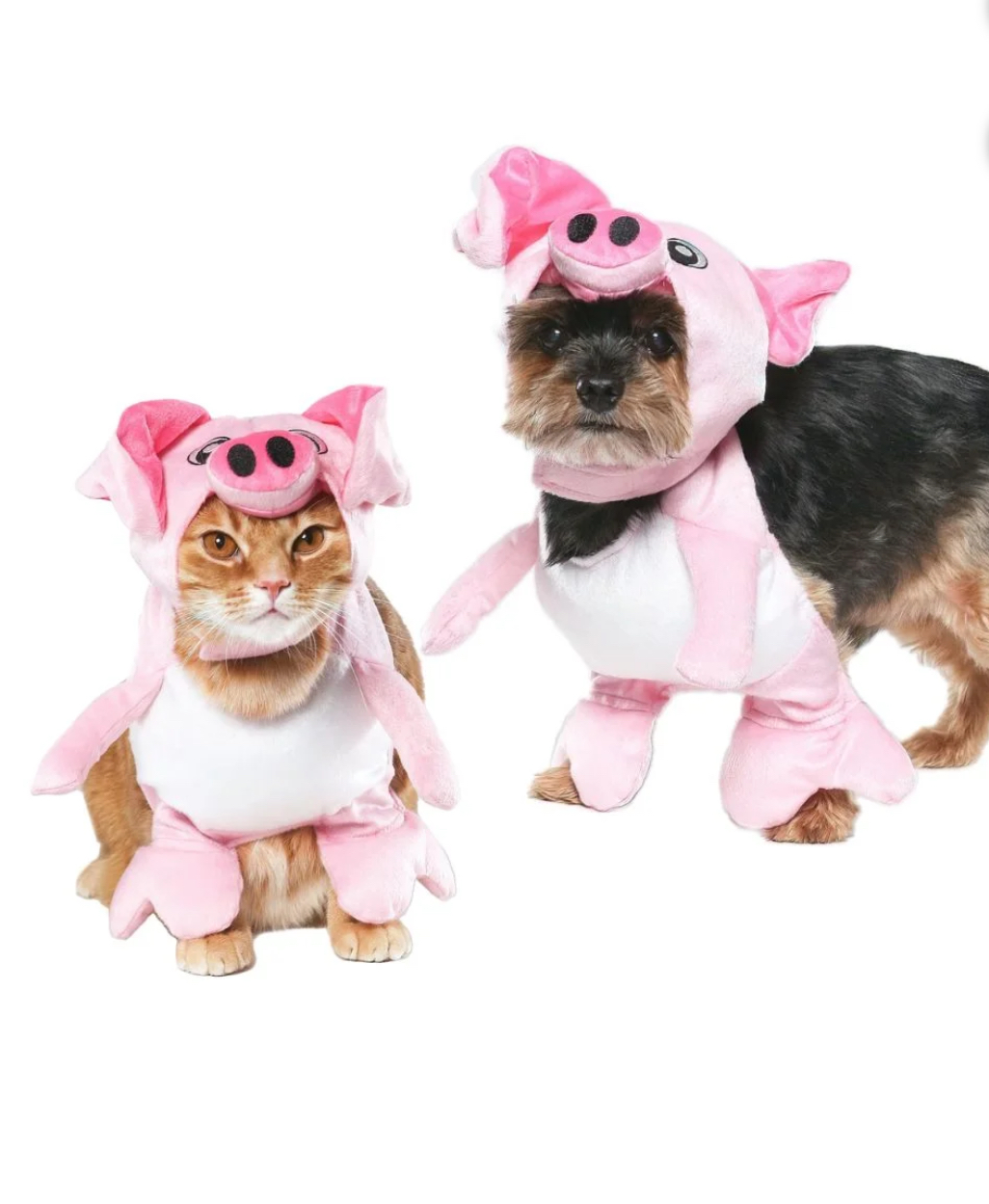 Vibrant Life Halloween Dog Costume and Cat Costume: Pig, Size Extra-Small