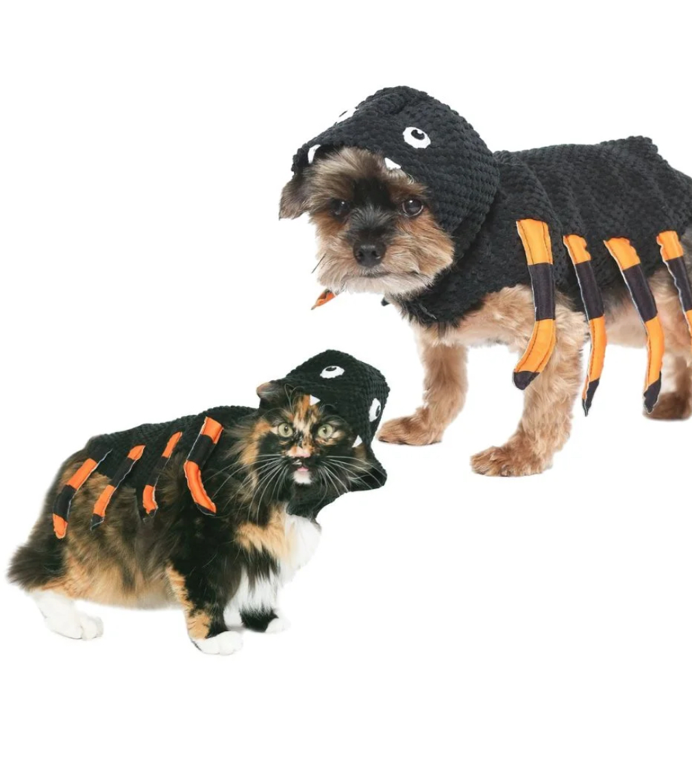Vibrant Life Halloween Dog Costume and Cat Costume: Spider,