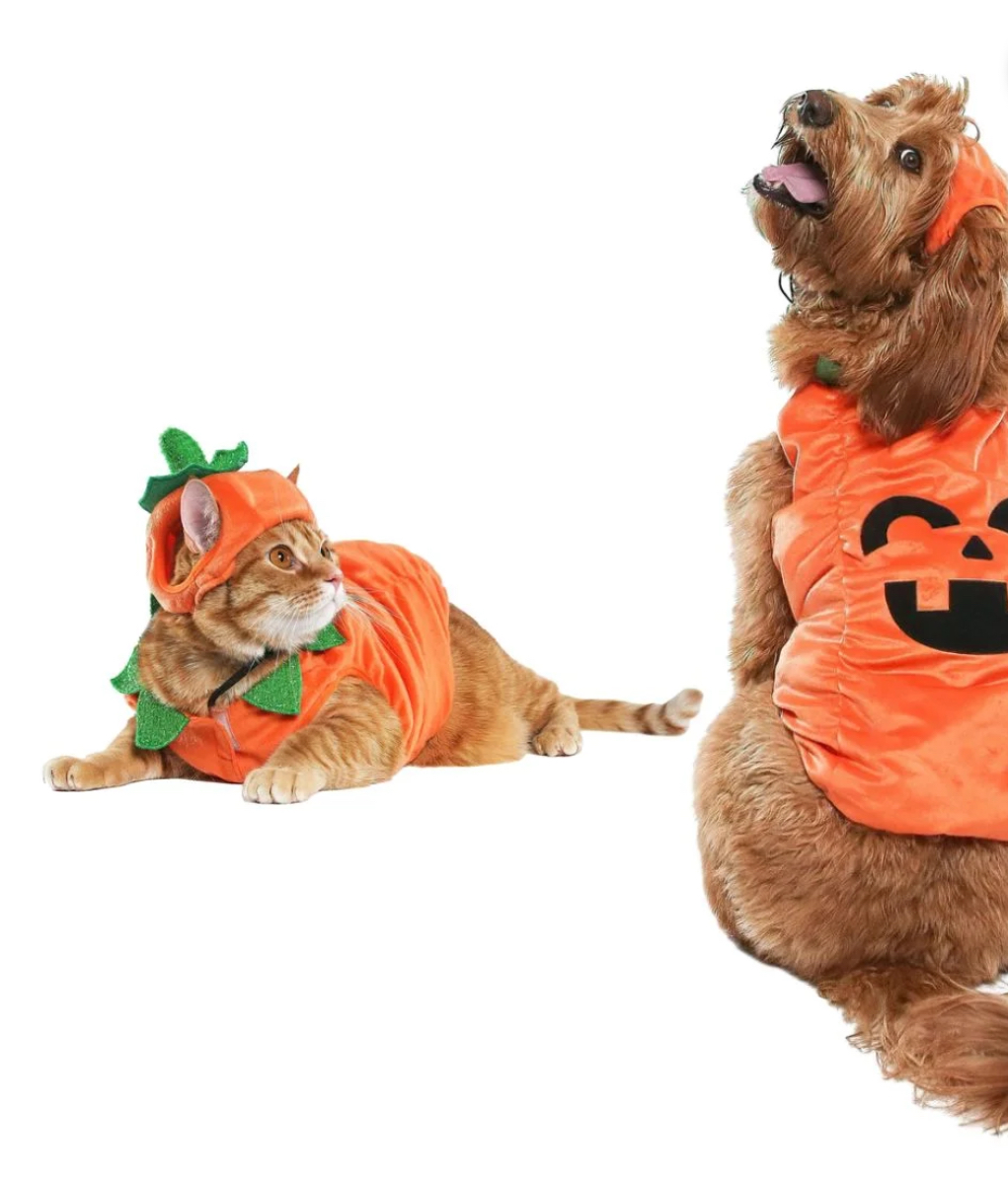Vibrant Life VI Hw Costume Pumpkin Small